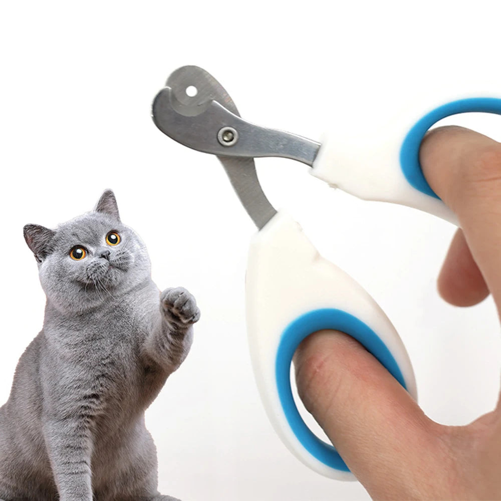 Retractable Dog Leash – Automatic, Durable & Comfortable Grip